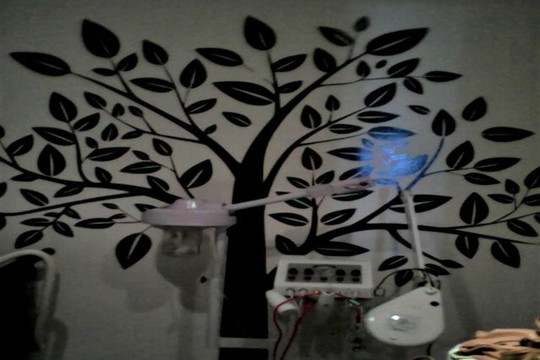 Imagen 1 de la galería del partner Sintomaterapia Coyoacán