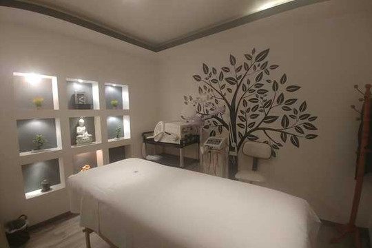 Imagen 2 de la galería del partner Sintomaterapia Coyoacán