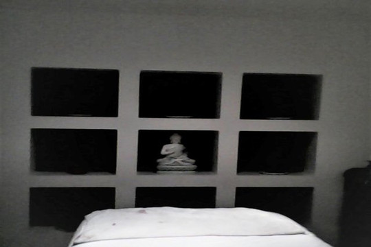 Imagen 3 de la galería del partner Sintomaterapia Coyoacán