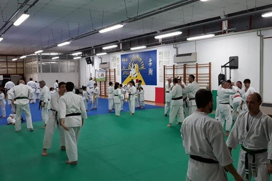 Immagine 1 dalla galleria del partner CSR Ju Jitsu Bondeno