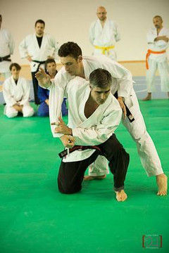Immagine 2 dalla galleria del partner CSR Ju Jitsu Bondeno