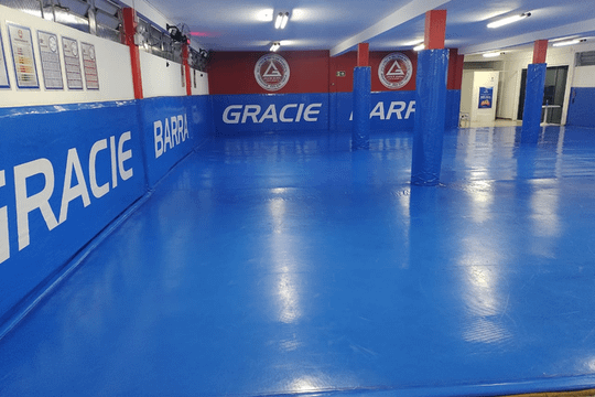 Imagem 1 da galeria do parceiro Gracie Barra Telêmaco Borba