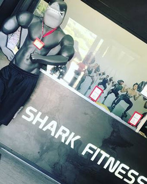 Immagine 3 dalla galleria del partner Shark Fitness Palestre