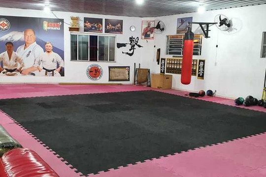 Imagem 3 da galeria do parceiro Ichigeki Academy