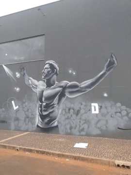 Imagem 3 da galeria do parceiro Gold Gym