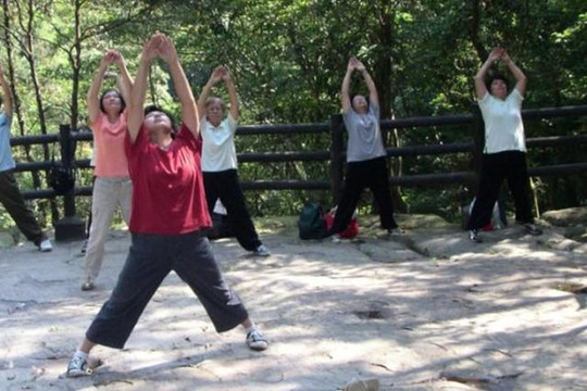 Image 2 from String of Pearls Tai Chi Enderby partner gallery