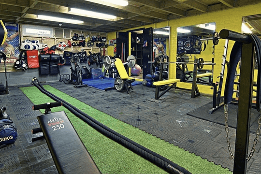 Image 1 from Shay Walsh MMA partner gallery