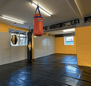 Image 3 from Shay Walsh MMA partner gallery