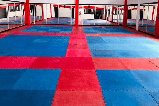 Imagen 1 de la galería del partner Taekwondo Studio Izcalli