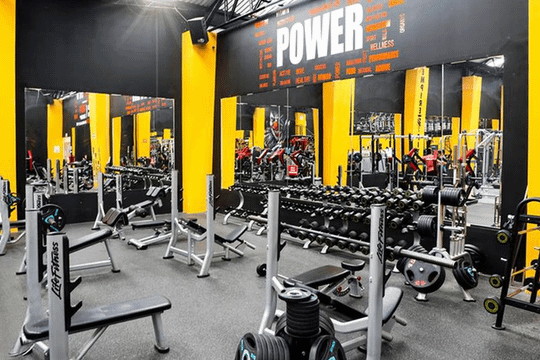 Imagen 1 de la galería del partner Empire Fitness