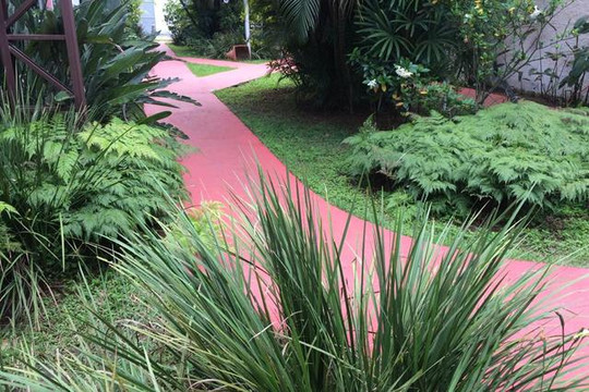 Imagem 1 da galeria do parceiro Foca Academia