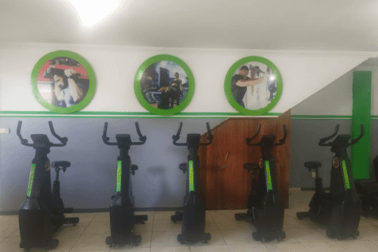 Imagem 2 da galeria do parceiro Holística