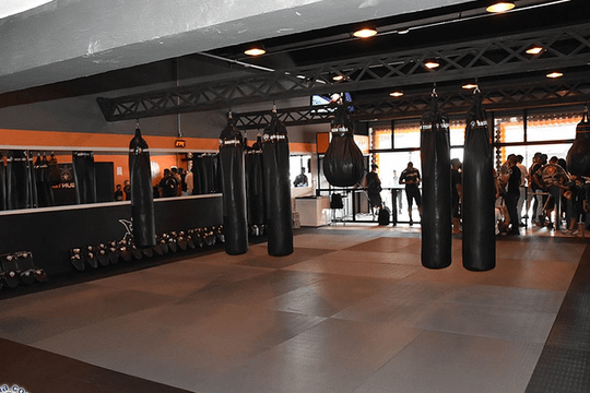 Imagem 2 da galeria do parceiro Shogun Team São Miguel