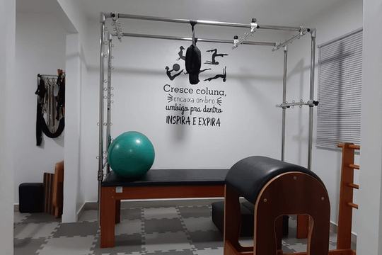 Imagem 3 da galeria do parceiro Fisioterapia e Pilates Liliane Moraes