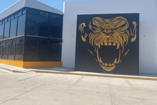 Imagen 2 de la galería del partner Monkey's Fitness Club