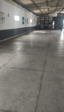 Imagem 2 da galeria do parceiro Terrier Fight Team