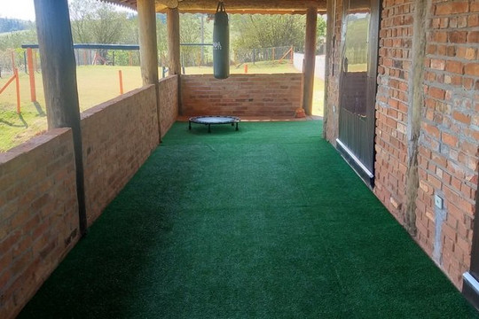 Imagem 3 da galeria do parceiro M5 Sports Team