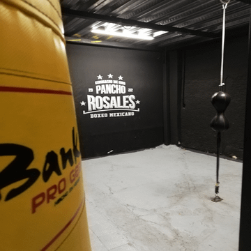 Imagen 3 de la galería del partner Gimnasio de Oro Pancho Rosales