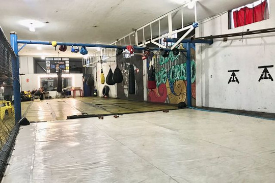 Imagem 1 da galeria do parceiro Boxe Luis Cardoso