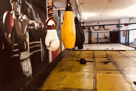 Imagem 3 da galeria do parceiro Boxe Luis Cardoso
