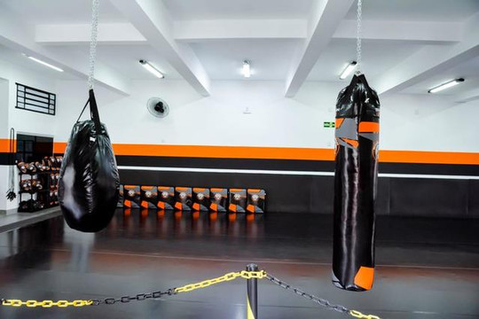 Imagem 3 da galeria do parceiro Shogun Team Bauru