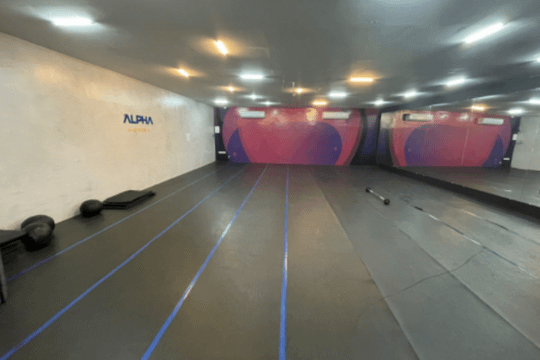 Imagem 1 da galeria do parceiro Alpha Gym Palmares