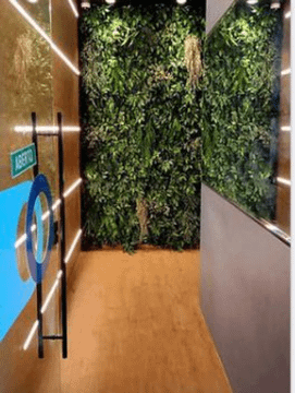 Imagem 2 da galeria do parceiro One Fitness
