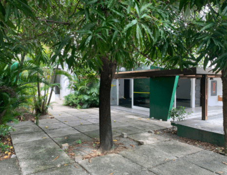 Imagem 3 da galeria do parceiro Instituto San Bao