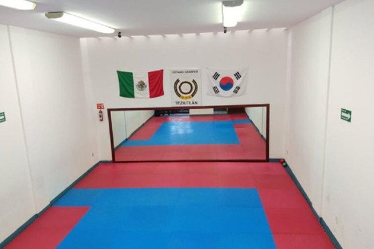 Imagen 3 de la galería del partner Instituto De Taekwondo Olimpico Doyang Grasfer
