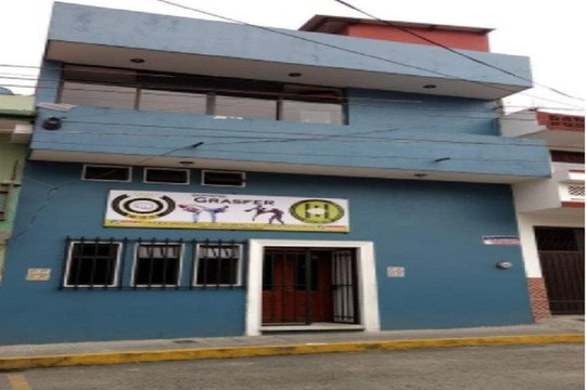 Imagen 2 de la galería del partner Instituto De Taekwondo Olimpico Doyang Grasfer