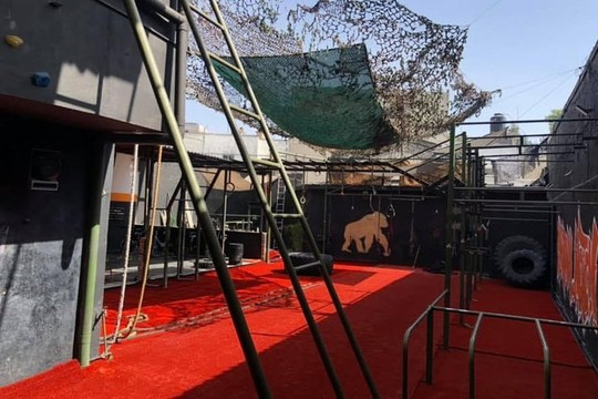 Imagen 3 de la galería del partner Animal Motion Fitness Center