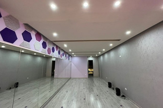 Imagen 1 de la galería del partner Dream Army