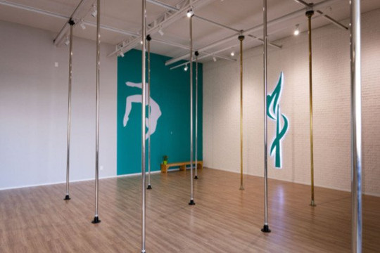 Imagem 1 da galeria do parceiro Elos Pole Sport