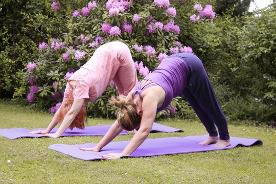 Bild 1 von Non Solo Yoga Partnergalerie