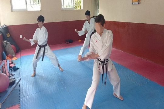 Imagen 2 de la galería del partner JKA Nayarit Dojo Bushakan