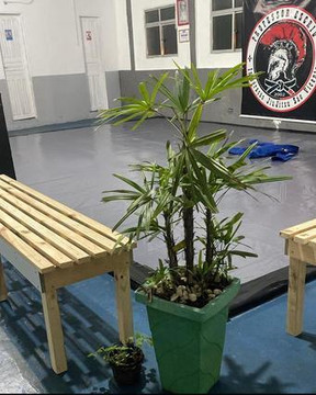Imagem 3 da galeria do parceiro Integração Jiu Jitsu Centro