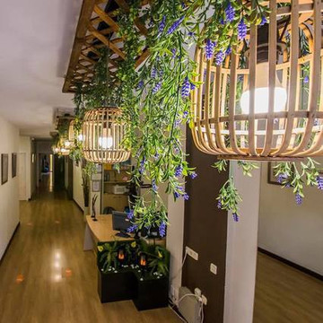 Imagen 2 de la galería del partner Gim Danza Silvia