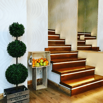 Imagen 3 de la galería del partner Noboli Sport Club