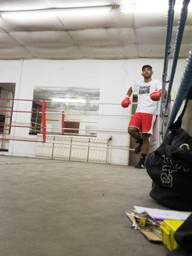 Image 3 from Tameside Elite Boxing Academy partner gallery