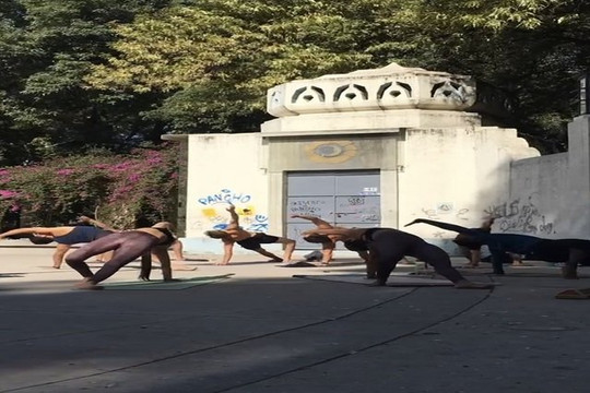Imagen 1 de la galería del partner CHARLYOGA Condesa