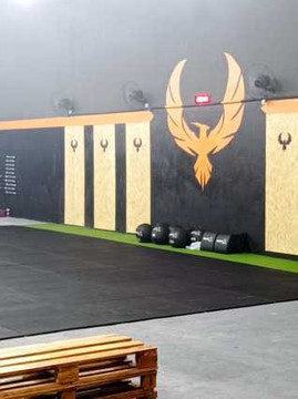 Imagem 2 da galeria do parceiro Fênix Cross Training