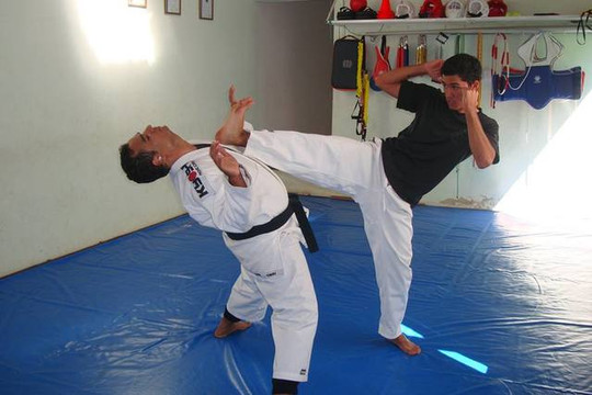 Imagem 1 da galeria do parceiro Masv Marciais - Casa das Artes Marciais
