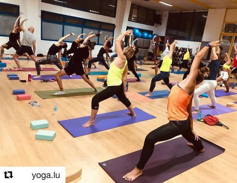 Immagine 3 dalla galleria del partner Swim&Fitness