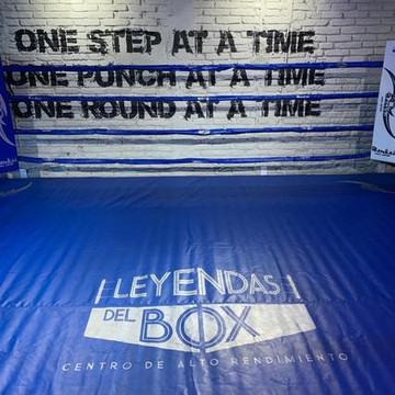Imagen 3 de la galería del partner Leyendas Del Box Revolución