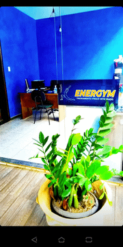 Imagem 2 da galeria do parceiro Energym - Treinamento Físico Integrado