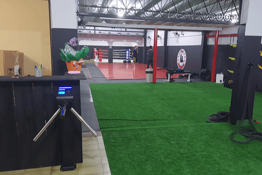 Imagem 2 da galeria do parceiro Team Montanha Bjj