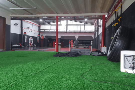 Imagem 3 da galeria do parceiro Team Montanha Bjj