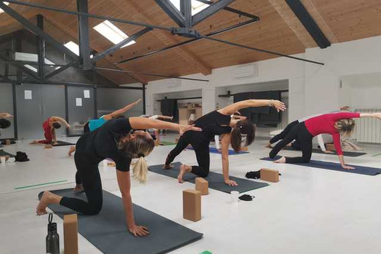 Immagine 1 dalla galleria del partner We Yoga