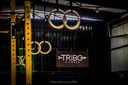 Imagem 1 da galeria do parceiro Tribo BNH