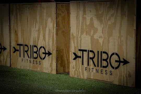 Imagem 2 da galeria do parceiro Tribo BNH
